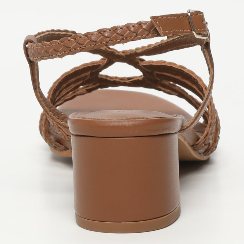 Nigella - Camel