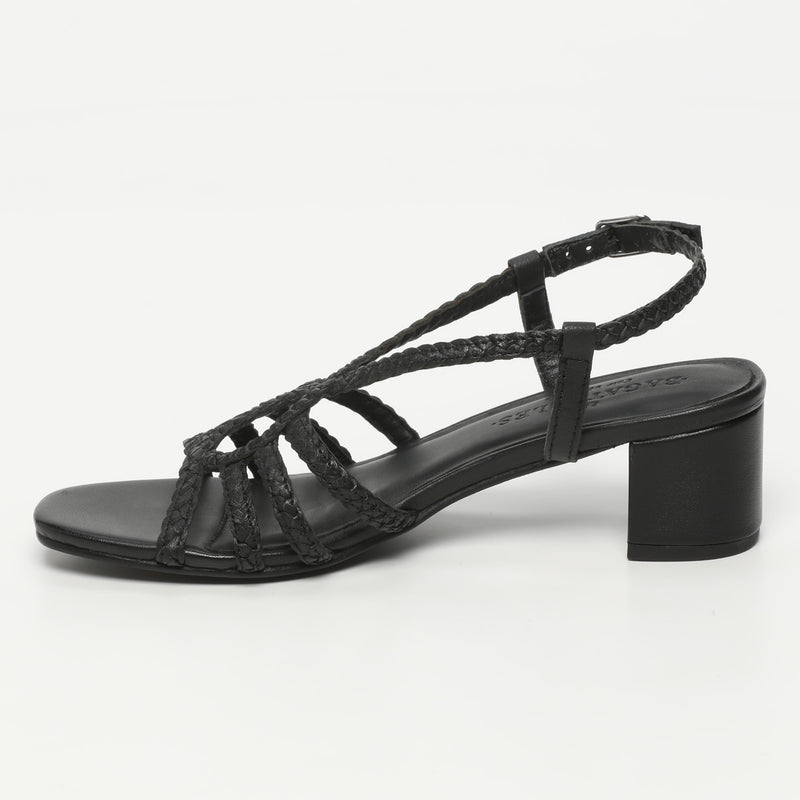 Nigella - Noir