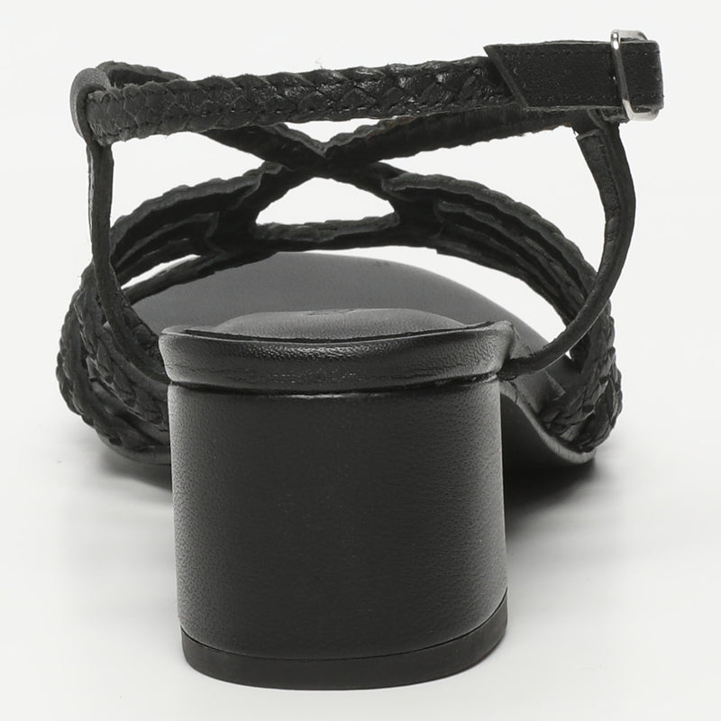 Nigella - Noir