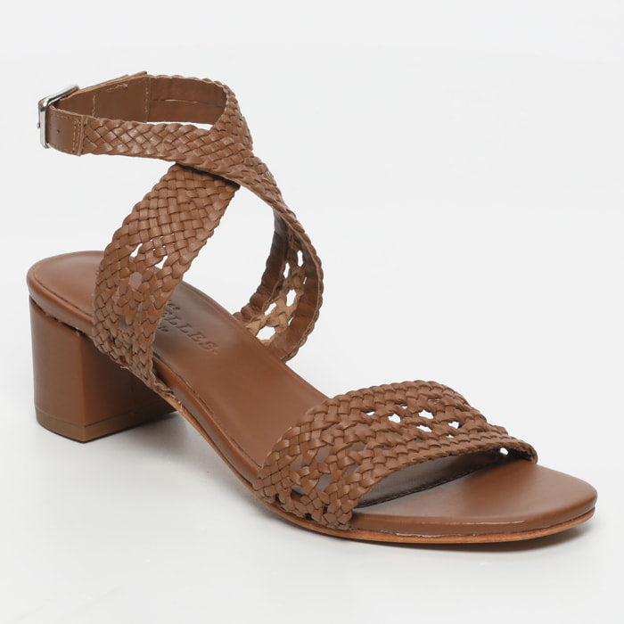 Tithonia - Camel