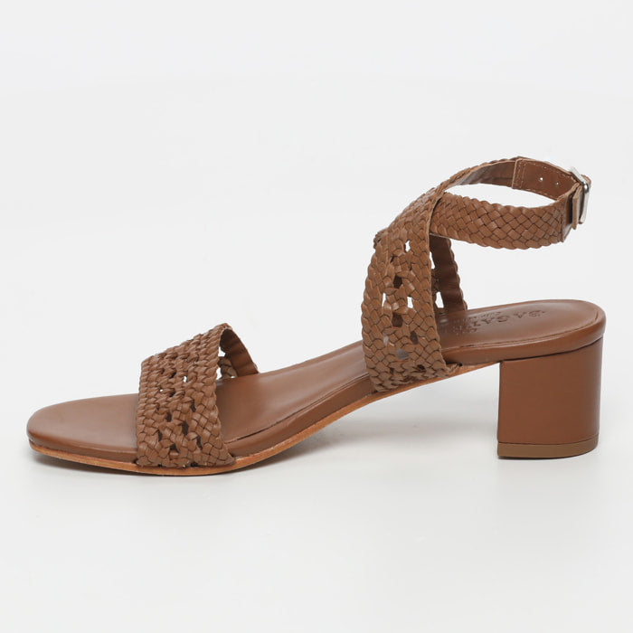 Tithonia - Camel