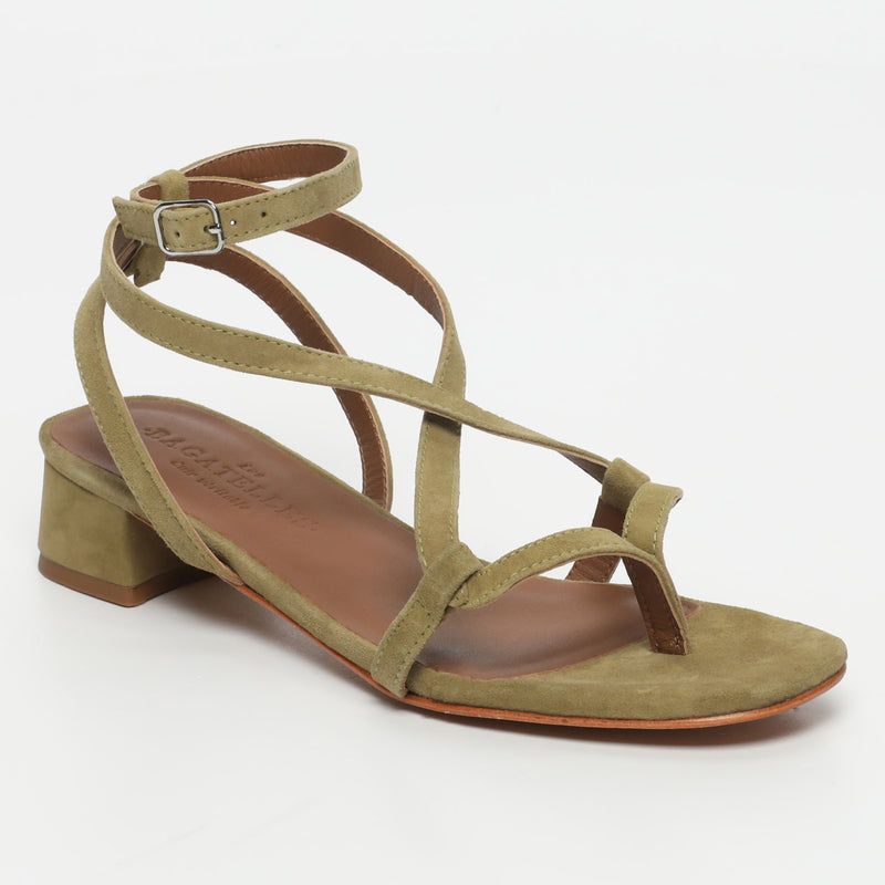 Halona - Olive