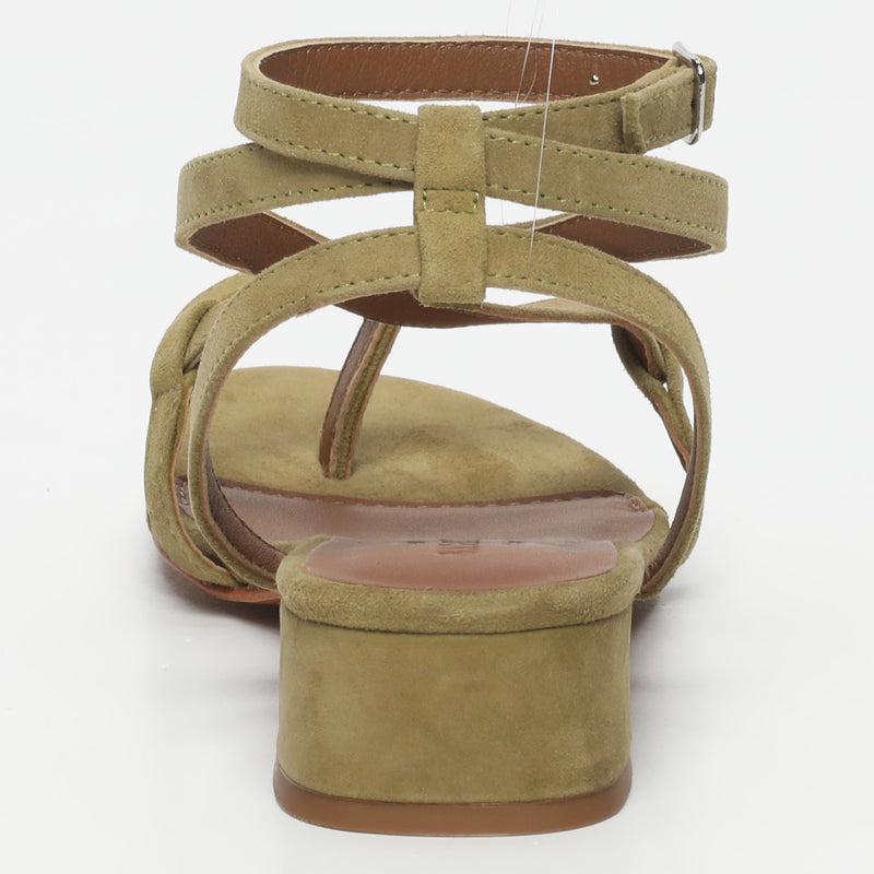 Halona - Olive