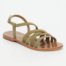 Myrtille - Olive
