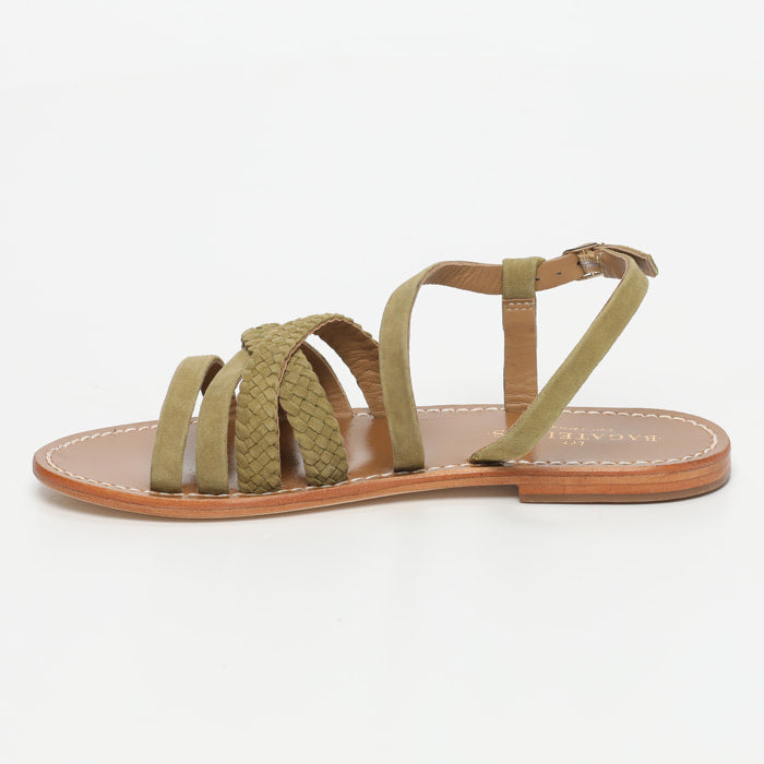 Myrtille - Olive