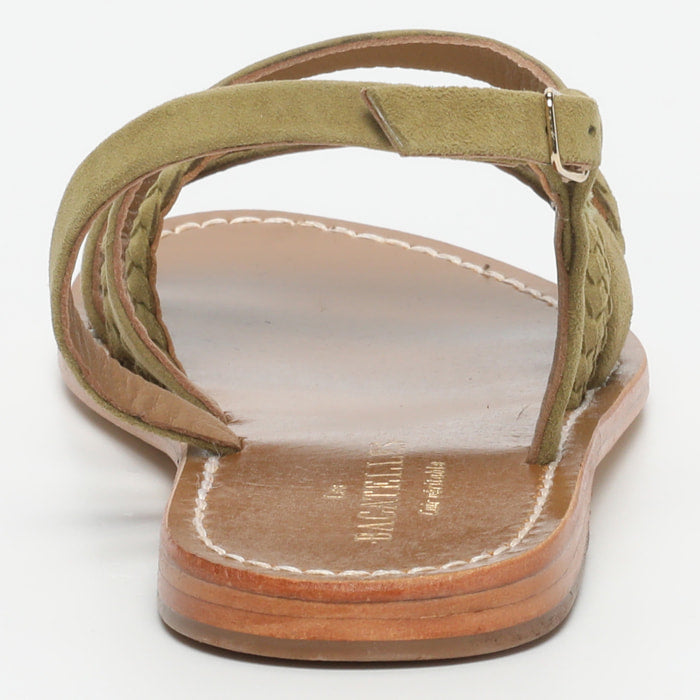 Myrtille - Olive
