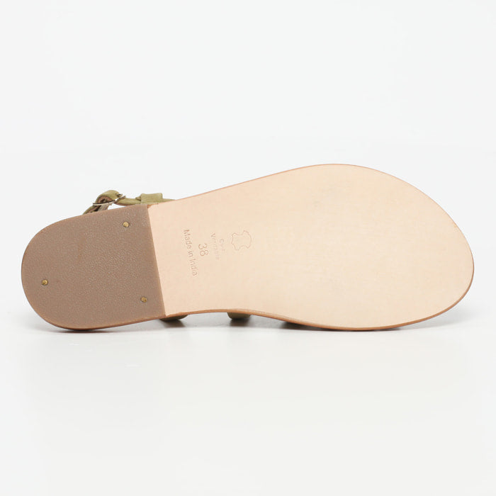 Myrtille - Olive