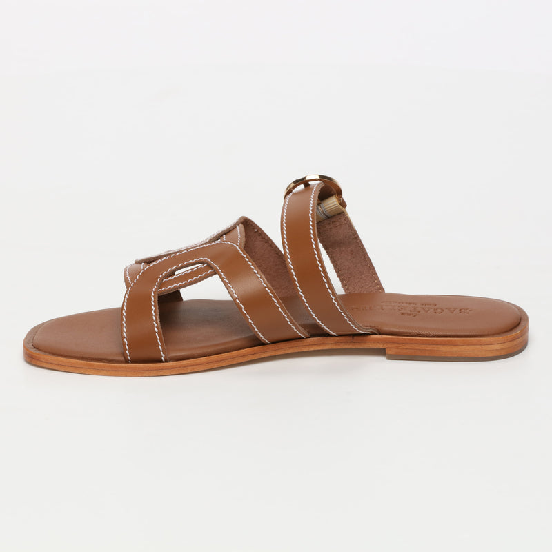 Rocio - Camel