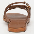 Rocio - Camel