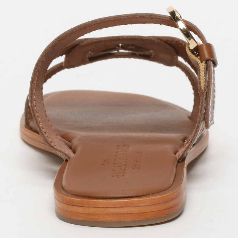 Rocio - Camel