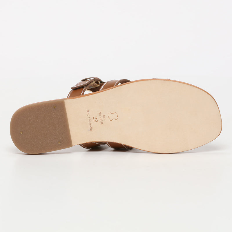 Rocio - Camel