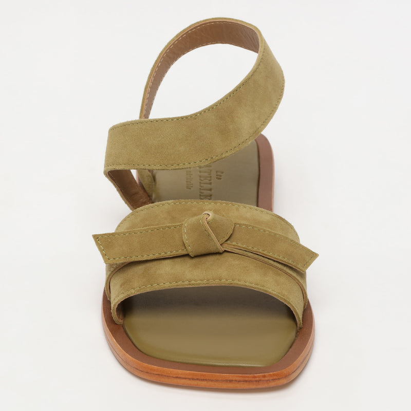 Camelia - Olive