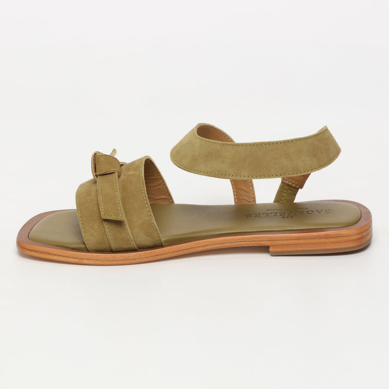 Camelia - Olive