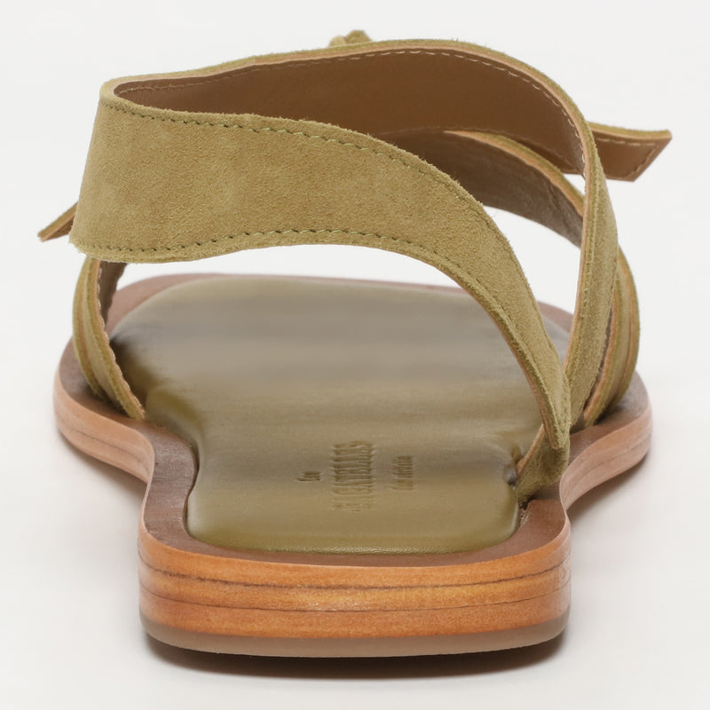 Camelia - Olive