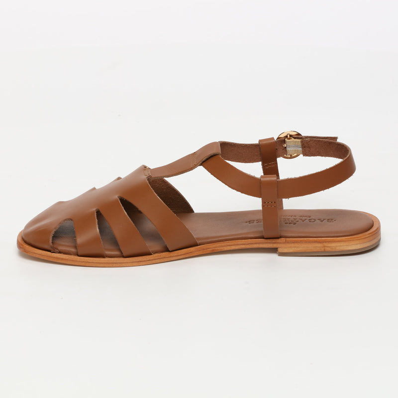 Malva - Camel