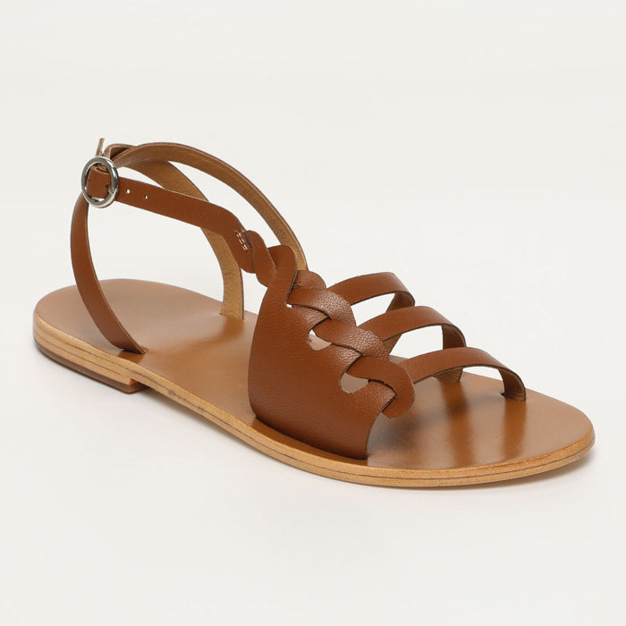 Hanae - Camel