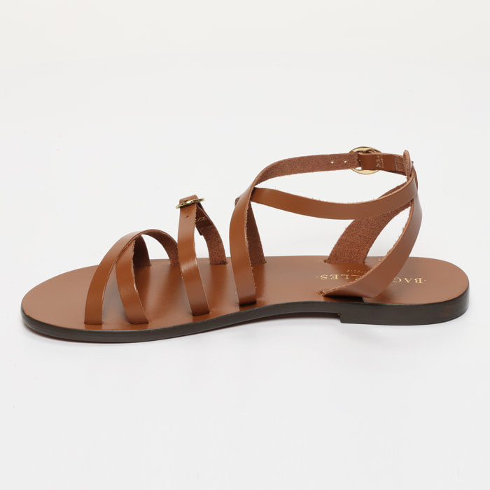 Ilaria - Camel
