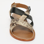Sandalias Zyrelia - Beige Snake/Black