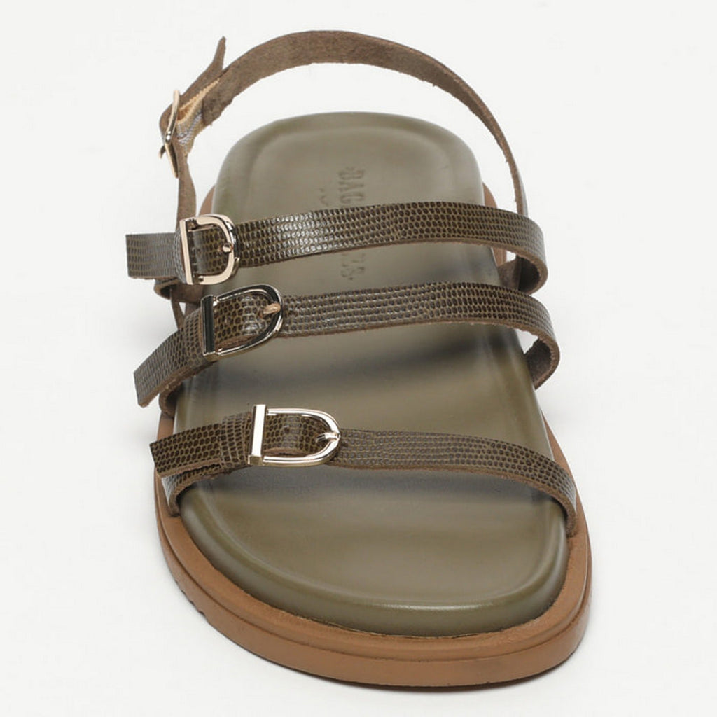 Sandalias Zeina - Kaki Lizard