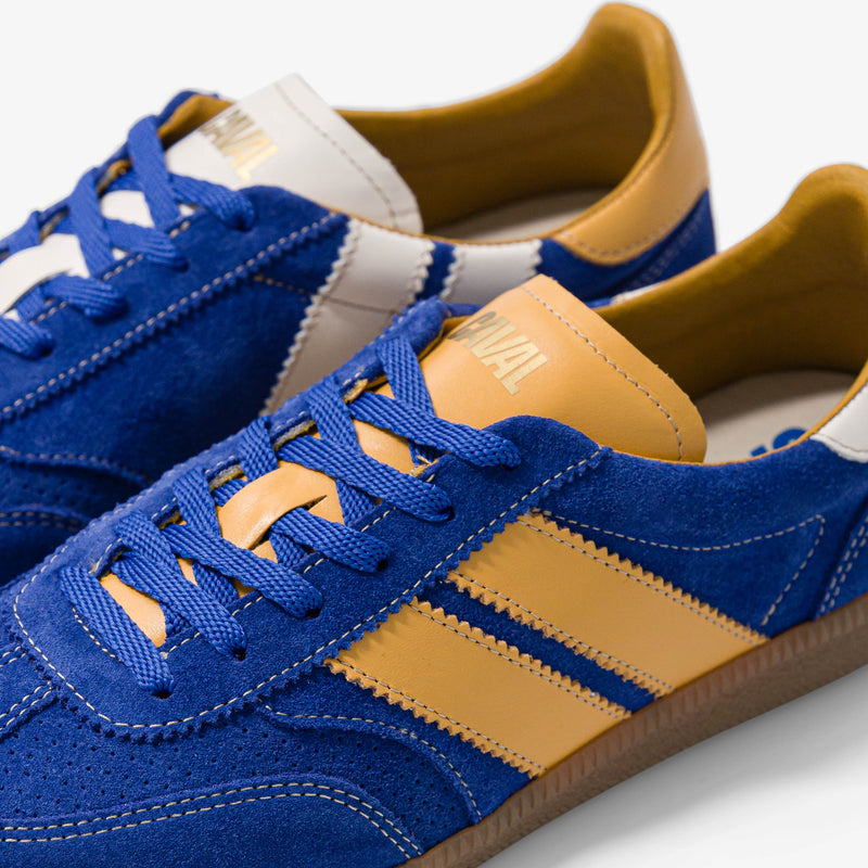 Baskets Blue Heritage