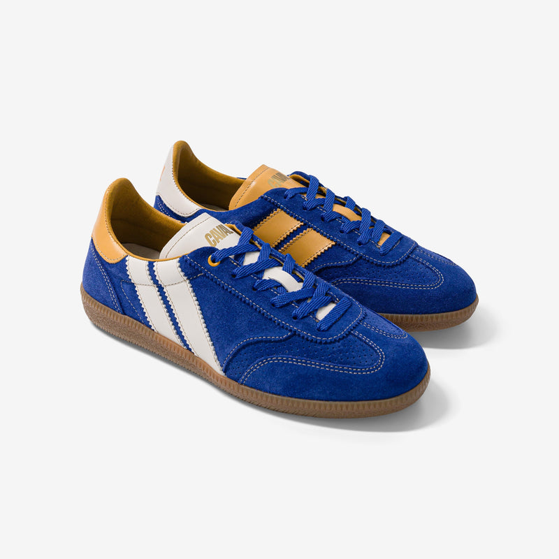 Baskets Blue Heritage