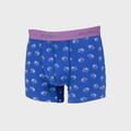 Boxer En Coton Bio - Billycool