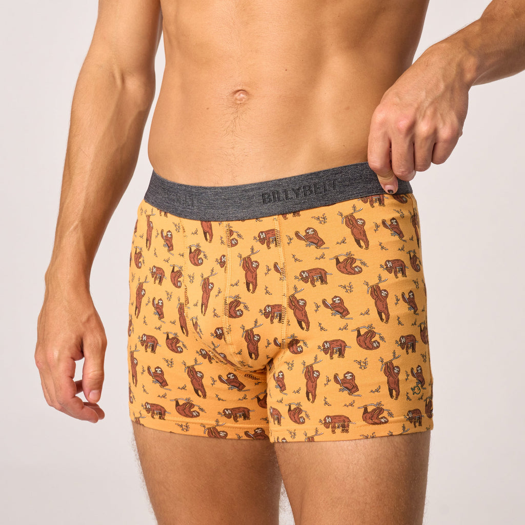 Boxer En Coton Bio - Sloth