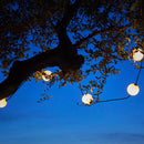 Guirlande Solaire Hybride - Bolly Light Solar