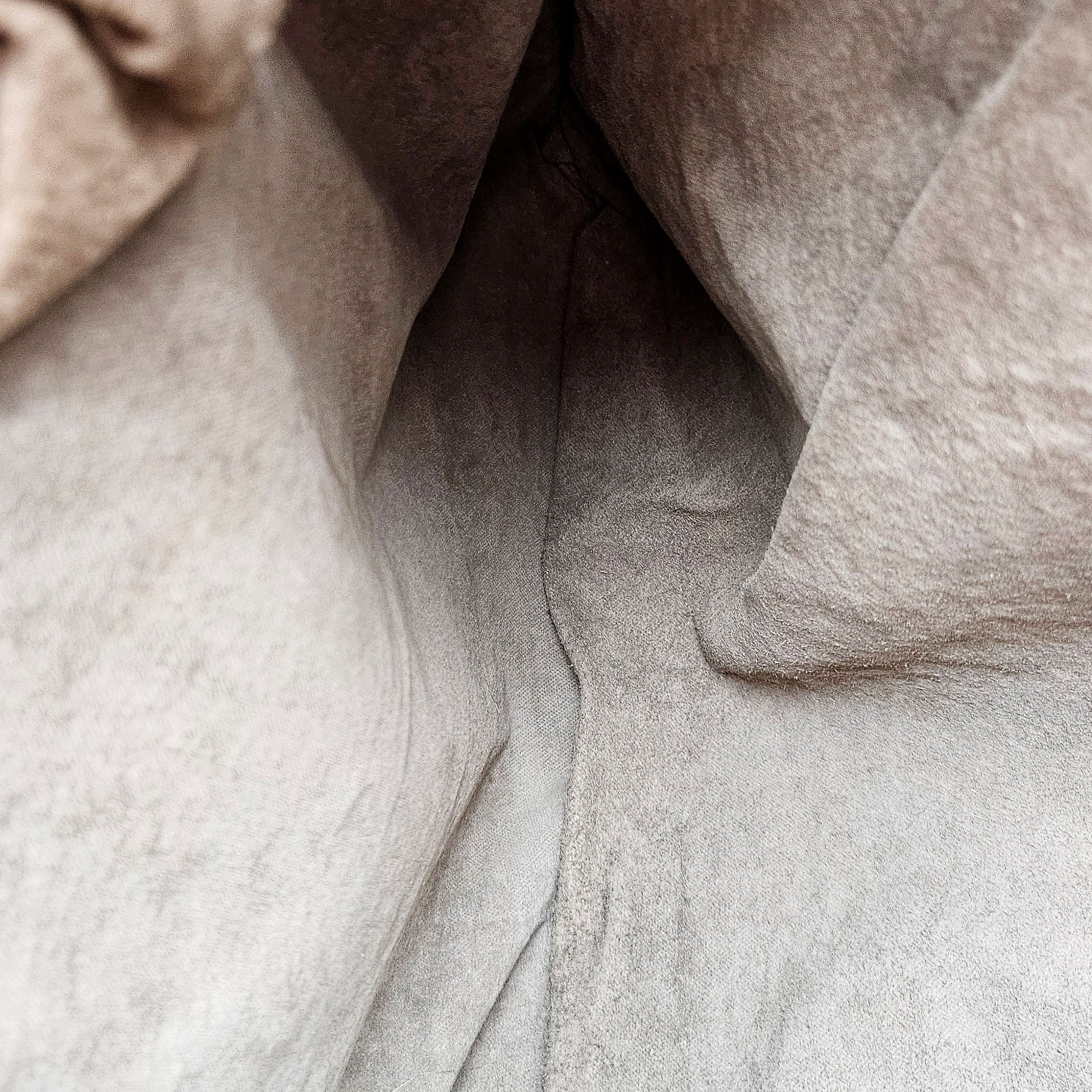 Bolso Bottega Veneta Convertible Tote