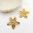 Pendientes brillantes