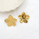 Boucles Noe
