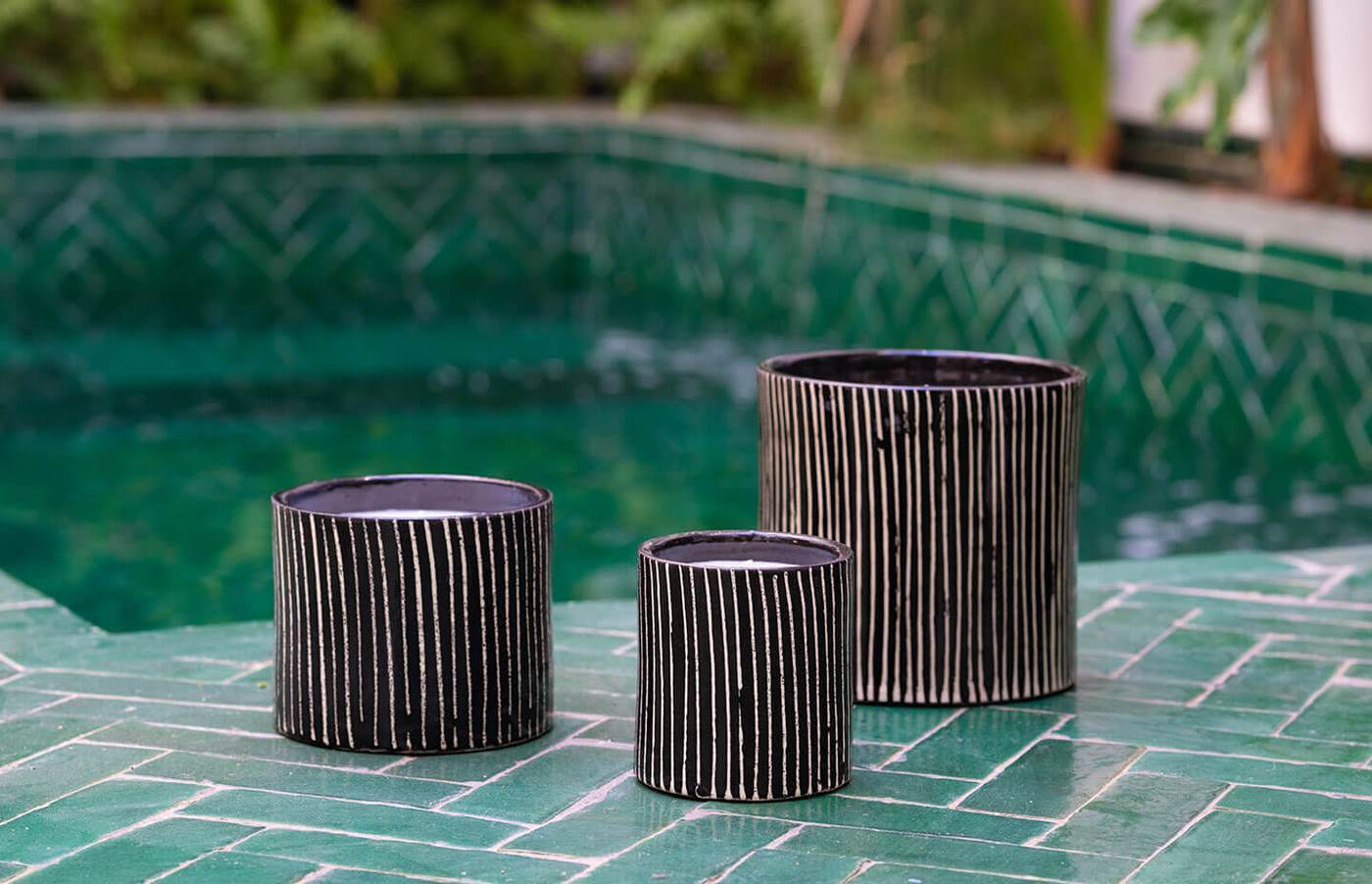 Zebra Candle - Majorelle Mandarin - Black and White