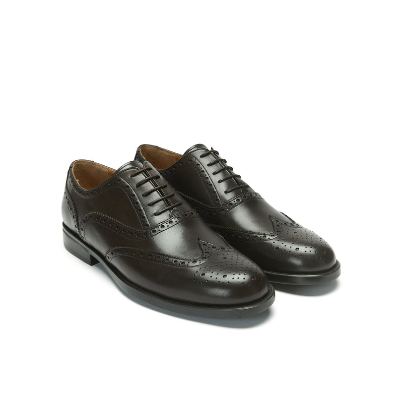 Bout D'Aile Oxford - Marron Foncé - Homme