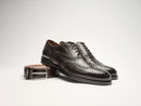 Bout D'Aile Oxford - Marron Foncé - Homme