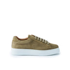 Baskets À Lacets Classique - Taupe - Homme
