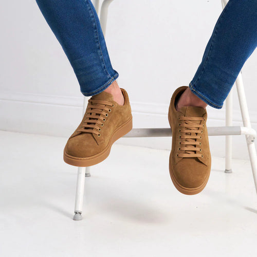 British Passport - Baskets À Lacets - Marron - Homme