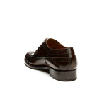 Derby Brown À Pointe D'Ailes Longues - Homme