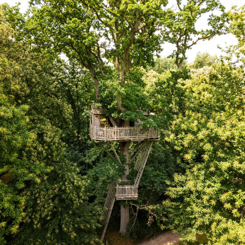 Carte Cadeau 1 Nuit En Cabane Duo