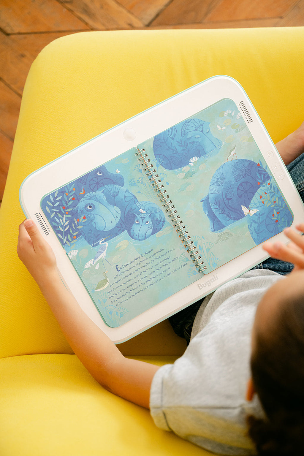 Book - Little Noun, the Blue Hippopotamus of the Banks of the Nile (5+)