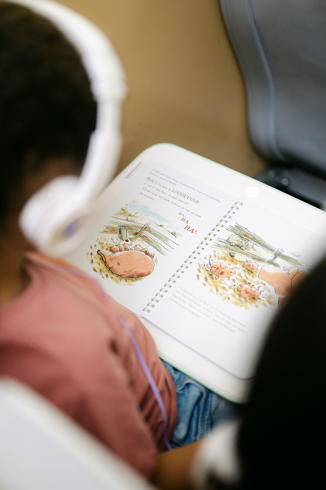 Livre - La Bonne Humeur De Loup Gris (5+)