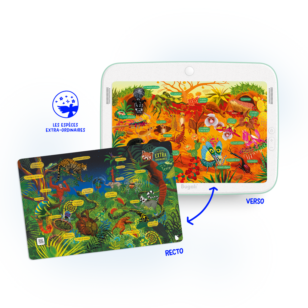 Coffret 5 Cartes Interactives Zoom ! (5+)