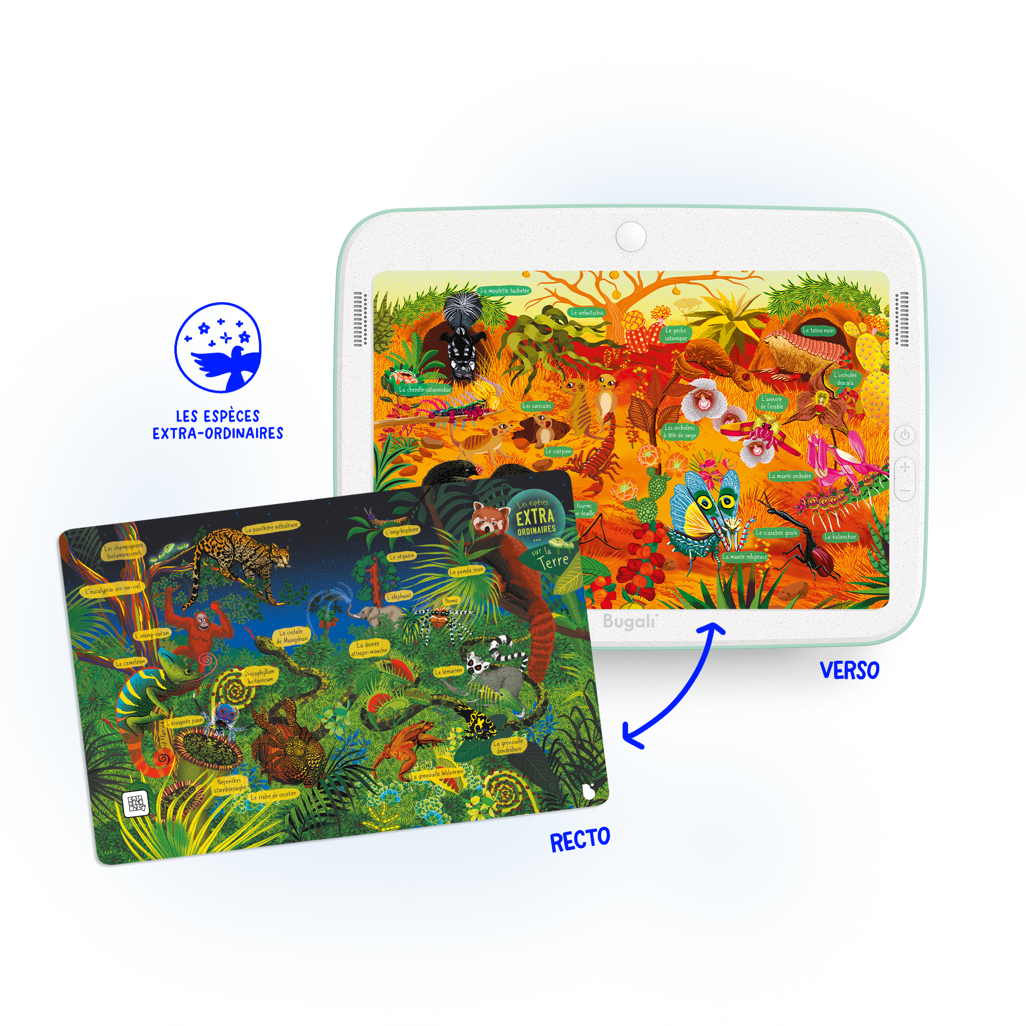Coffret 5 Cartes Interactives Zoom ! (5+)