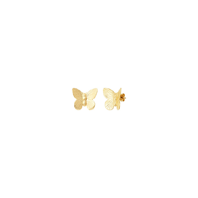 Boucles D'Oreilles Petit Modele Butterfly Dorées