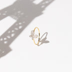 "Arica" Ring D 0,18/20 - 375/1000 Yellow Gold