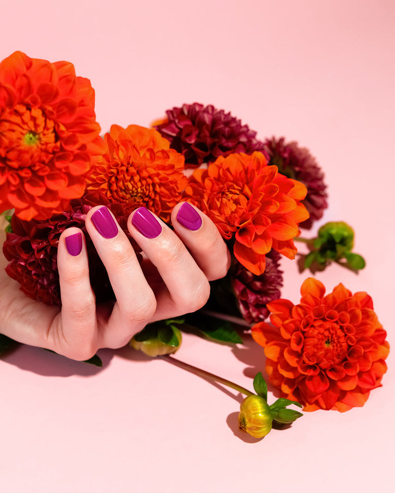 Electric Dahlia UV