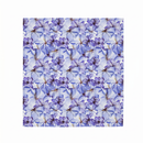 Bandana - Viola