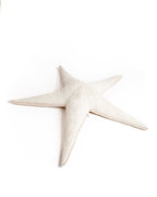 The Starfish