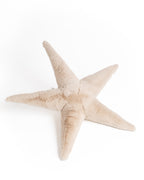 The Starfish
