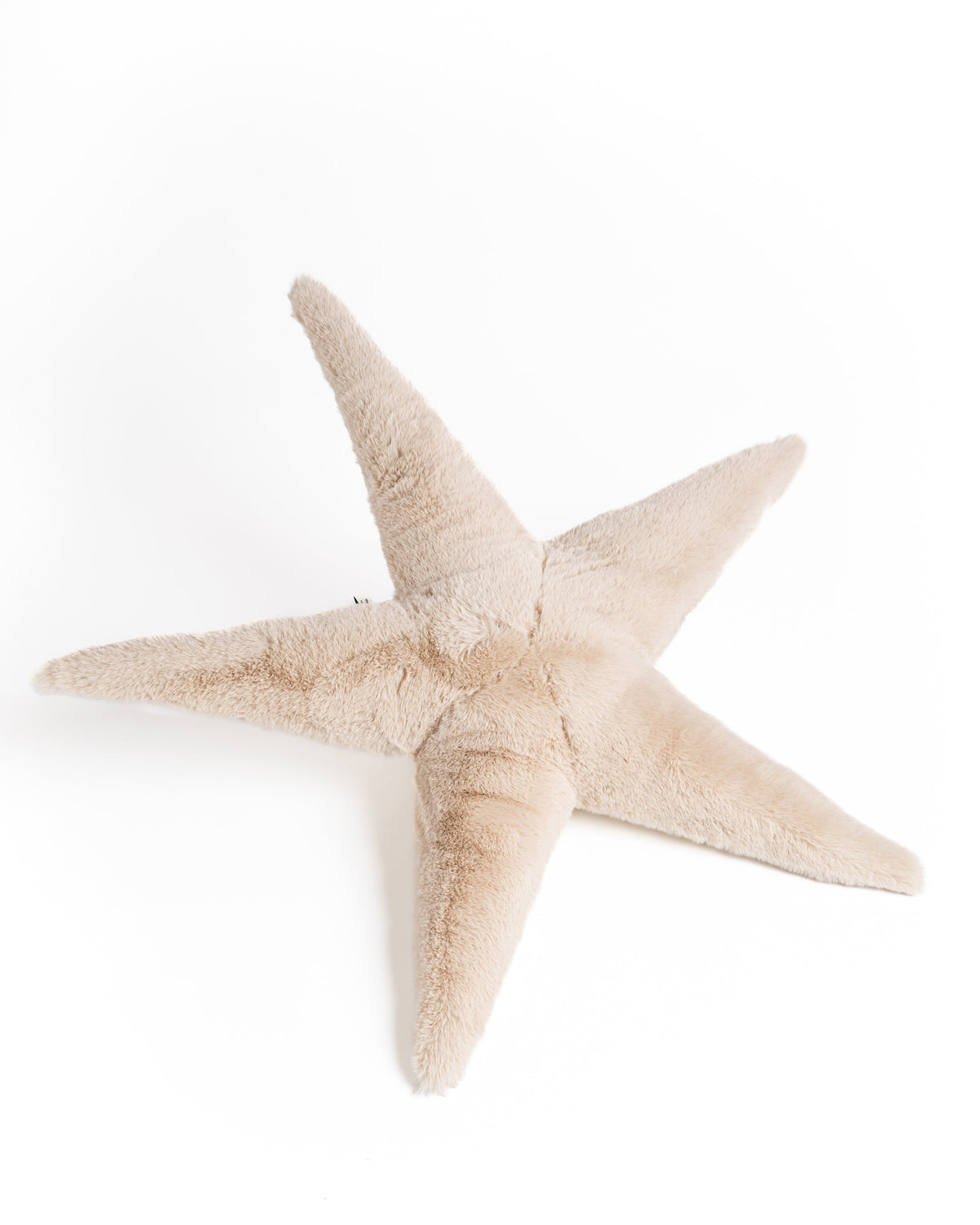 The Starfish