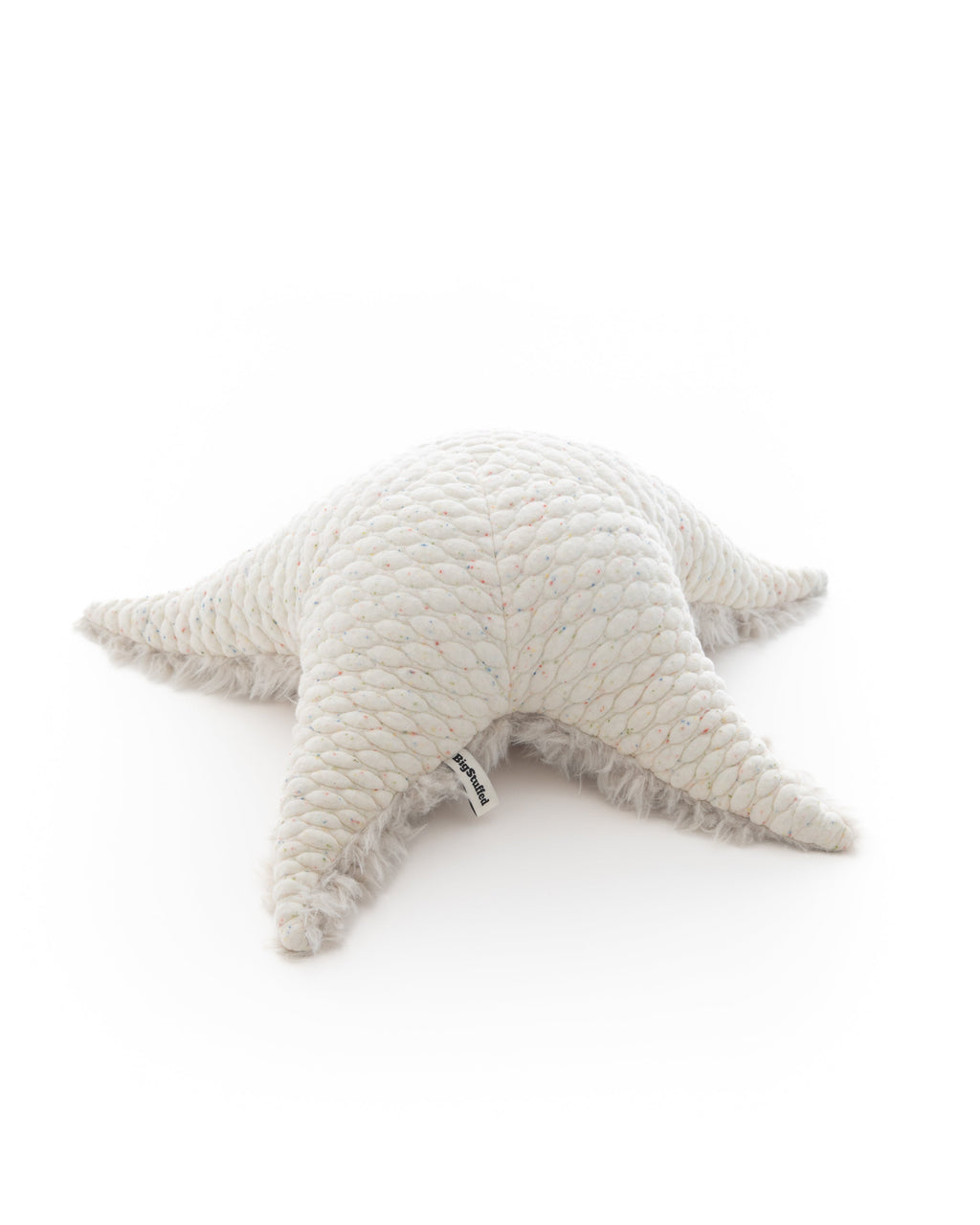 The Starfish